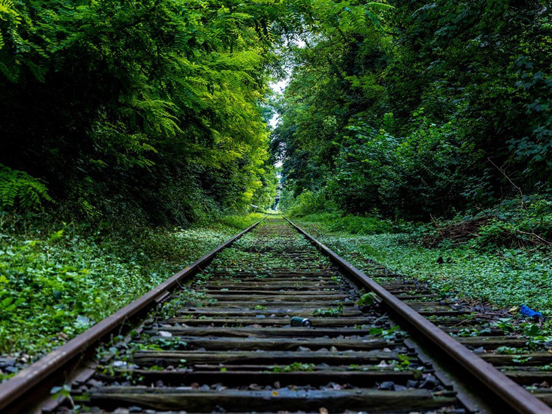 明堂礼成原文注释译文赏析-白玉蟾诗词-宋诗全集