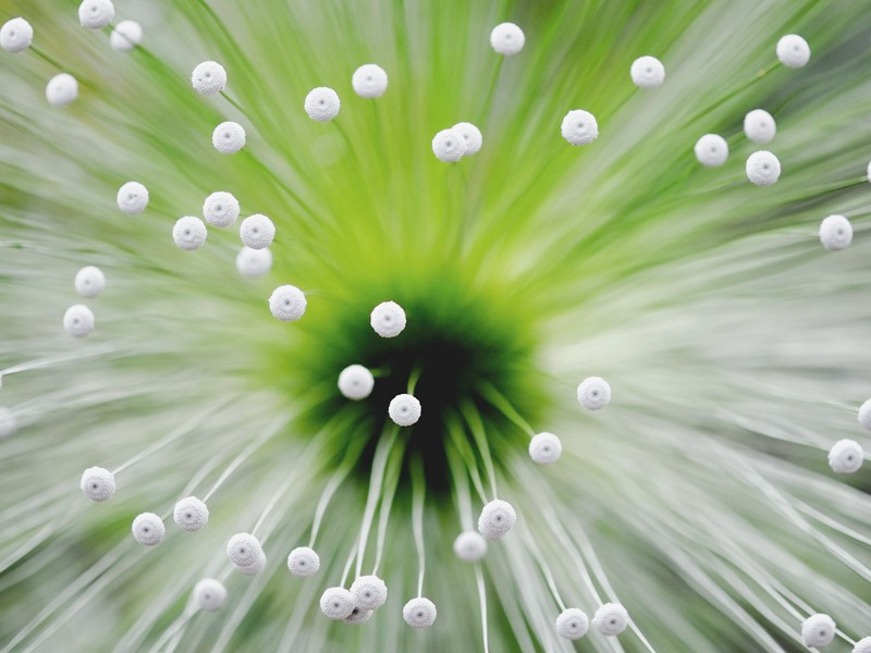 幽栖原文注释译文赏析-范成大诗词-宋诗全集