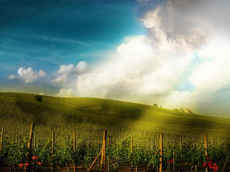 与李绍祖刘文潜饮酒原文注释译文赏析-晁公遡诗词-宋诗全集