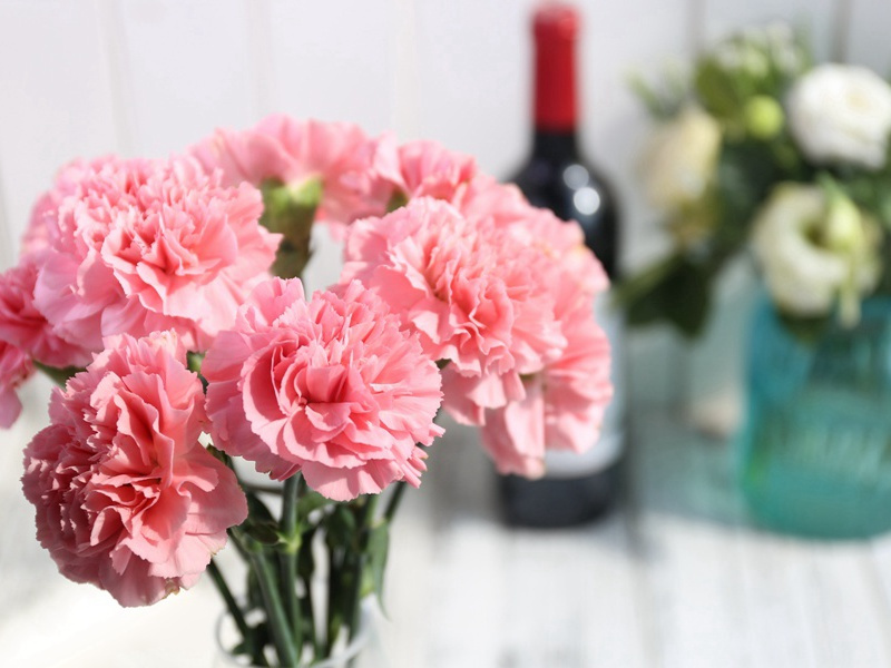 邓纯彦家兰盛开见借一本·其二原文注释译文赏析-李纲诗词-宋诗全集