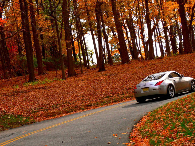 老柏三首·其二原文注释译文赏析-陈师道诗词-宋诗全集