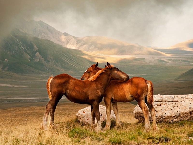 张公洞·其二原文注释译文赏析-蔡肇诗词-宋诗全集