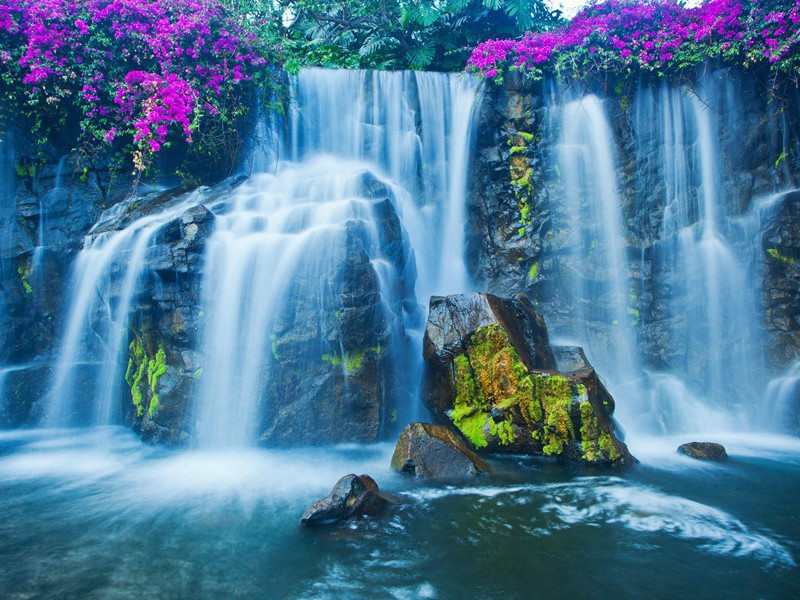 赠何道人原文注释译文赏析-白玉蟾诗词-宋诗全集