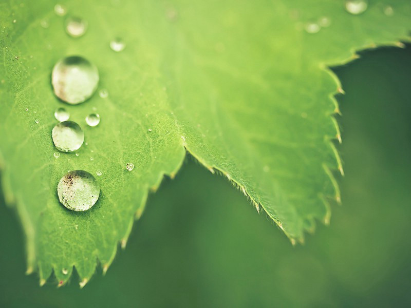 高淳道中原文注释译文赏析-范成大诗词-宋诗全集