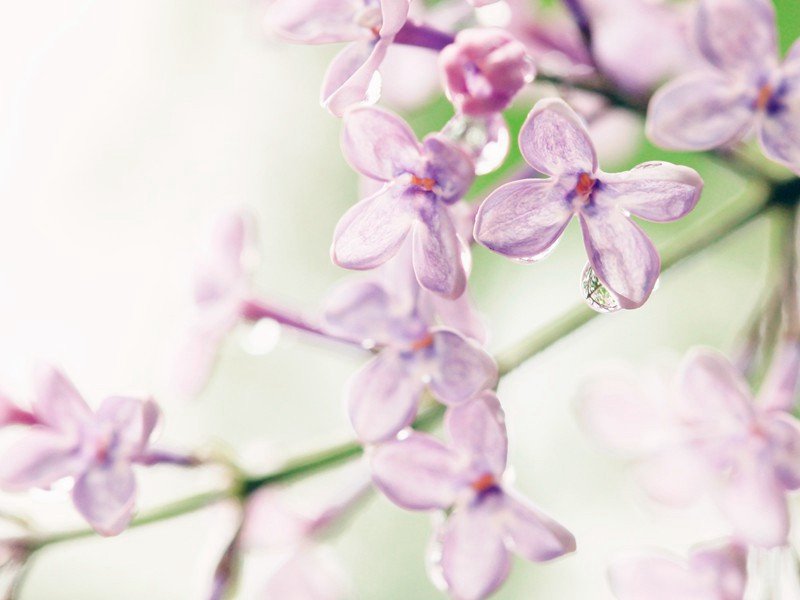 读庄子六绝句·其二原文注释译文赏析-李纲诗词-宋诗全集