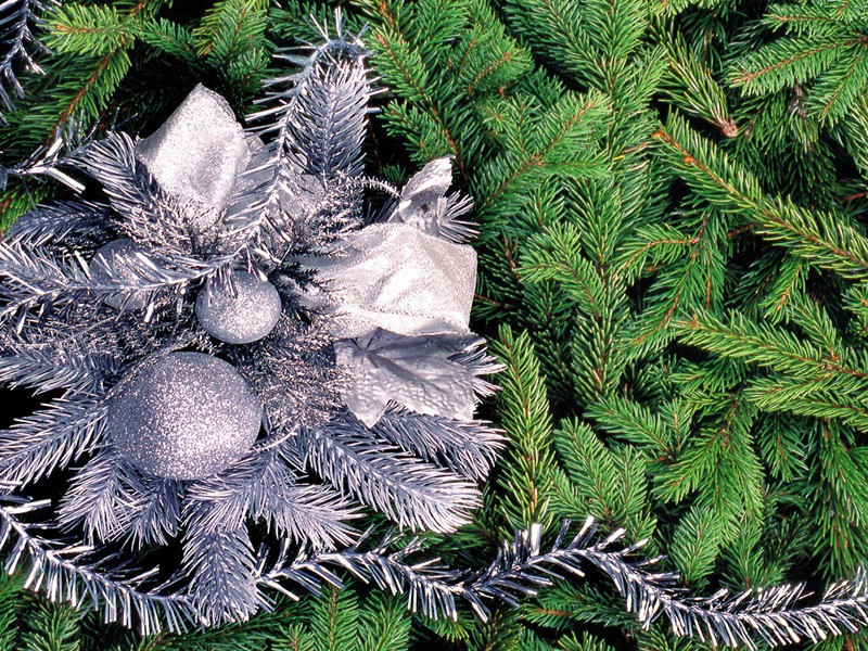 富阳出陆原文注释译文赏析-艾性夫诗词-宋诗全集