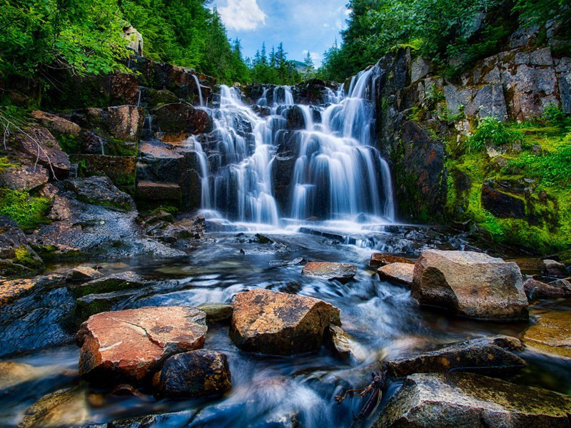 八月十二日夜偕客赏木犀八首·其四原文注释译文赏析-陈造诗词-宋诗全集