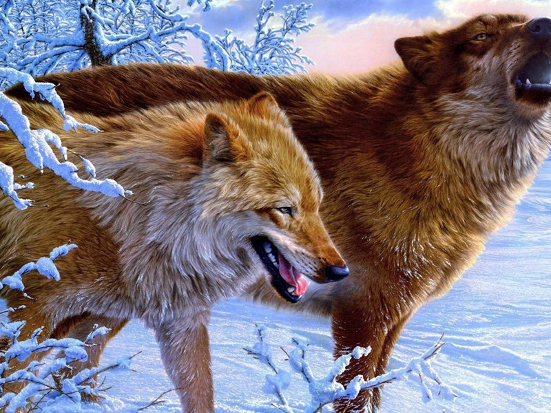 次韵弟观用陶元亮归田园居韵原文注释译文赏析-陈着诗词-宋诗全集