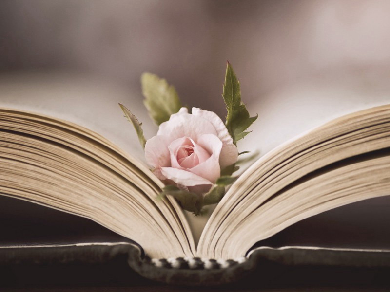 和留秀才秋日田舍原文注释译文赏析-郭祥正诗词-宋诗全集