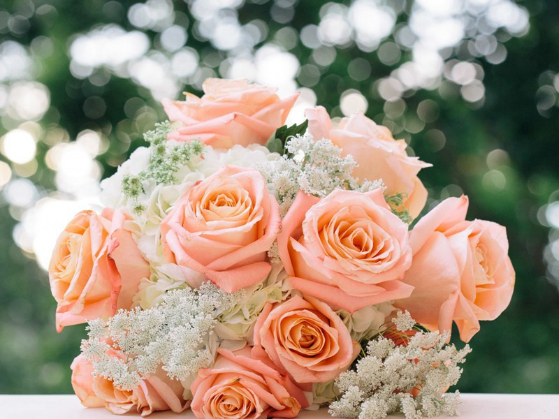 冰玉堂辞原文注释译文赏析-晁补之诗词-宋诗全集