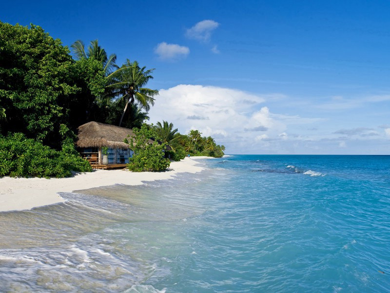 观渔船水碓有感原文注释译文赏析-陈藻诗词-宋诗全集