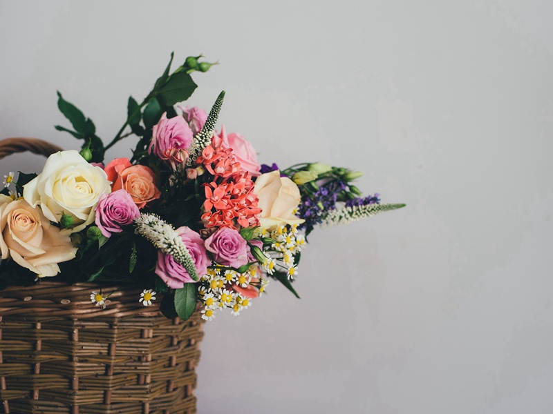 夜阑原文注释译文赏析-白玉蟾诗词-宋诗全集