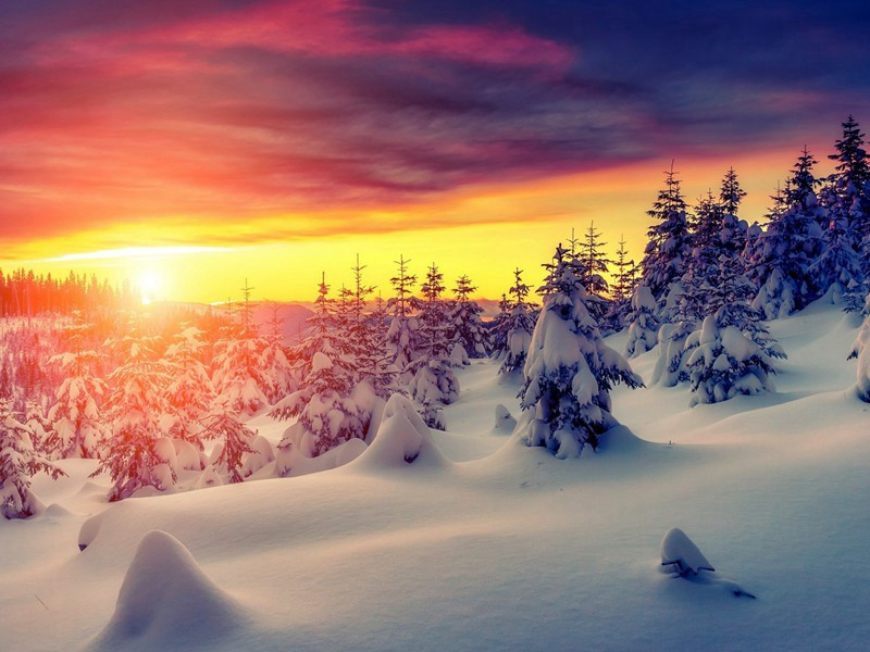 首春课湖庄种植原文注释译文赏析-曹彦约诗词-宋诗全集