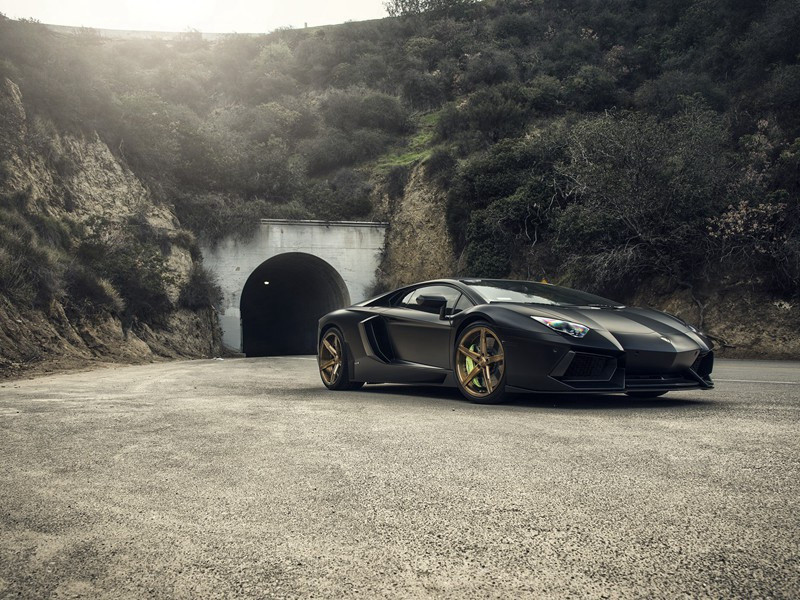 赠林尚仁原文注释译文赏析-陈必复诗词-宋诗全集