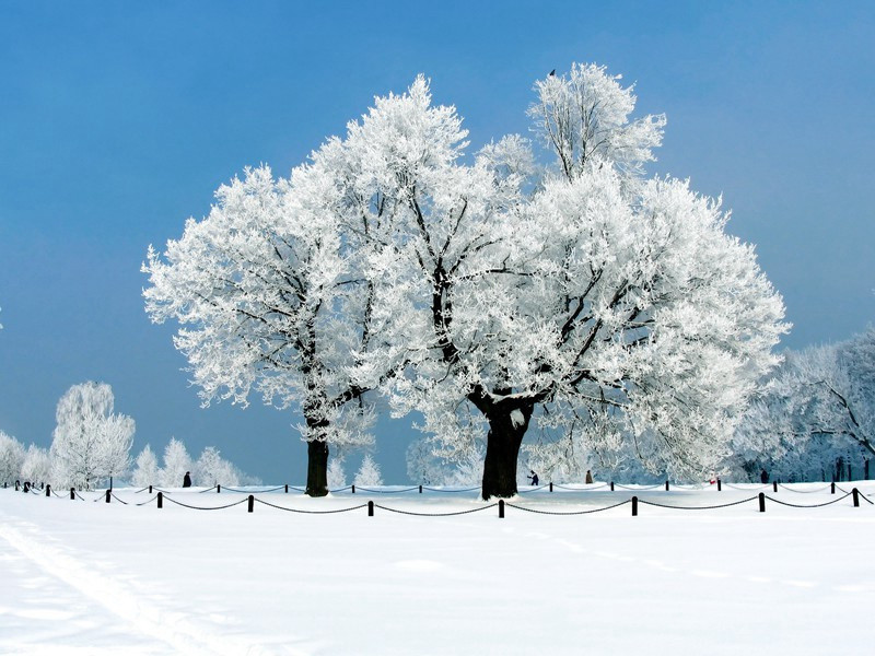 登召伯斗野亭原文注释译文赏析-陈渊诗词-宋诗全集