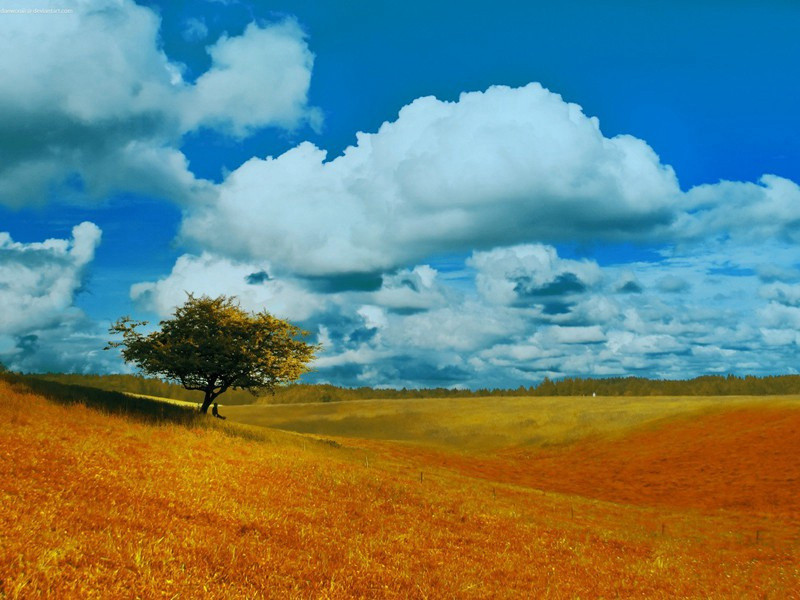 视田五首赠八弟无斁·其五原文注释译文赏析-晁补之诗词-宋诗全集