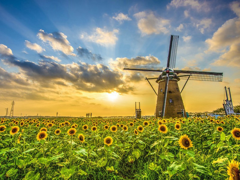 王丞留饮·其二原文注释译文赏析-韩淲诗词-宋诗全集