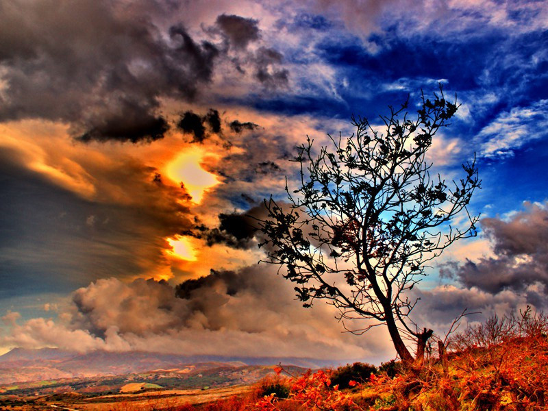 武昌怀古十咏·江汉亭原文注释译文赏析-白玉蟾诗词-宋诗全集