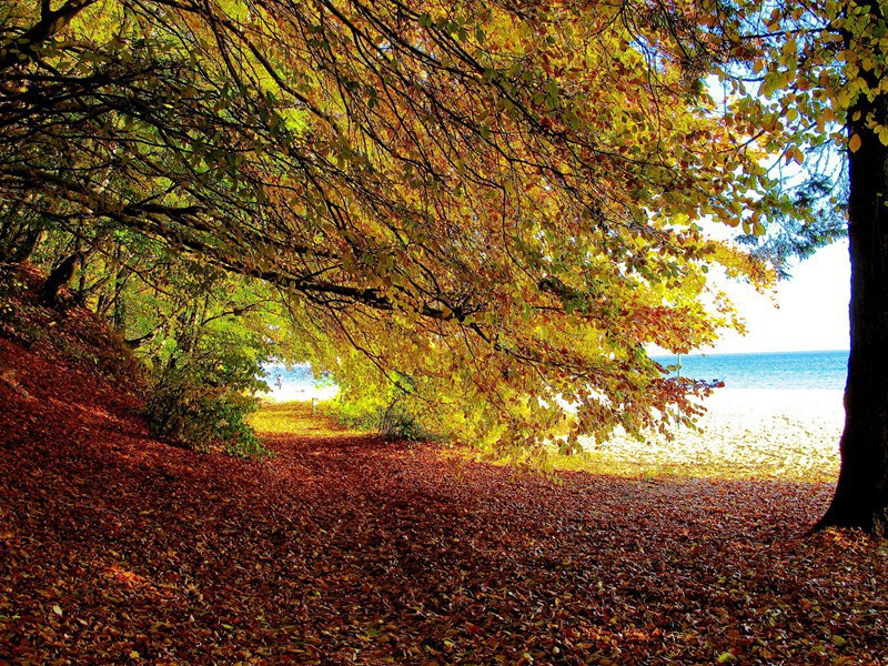 和韩侍中初夏游兴庆池原文注释译文赏析-范纯仁诗词-宋诗全集