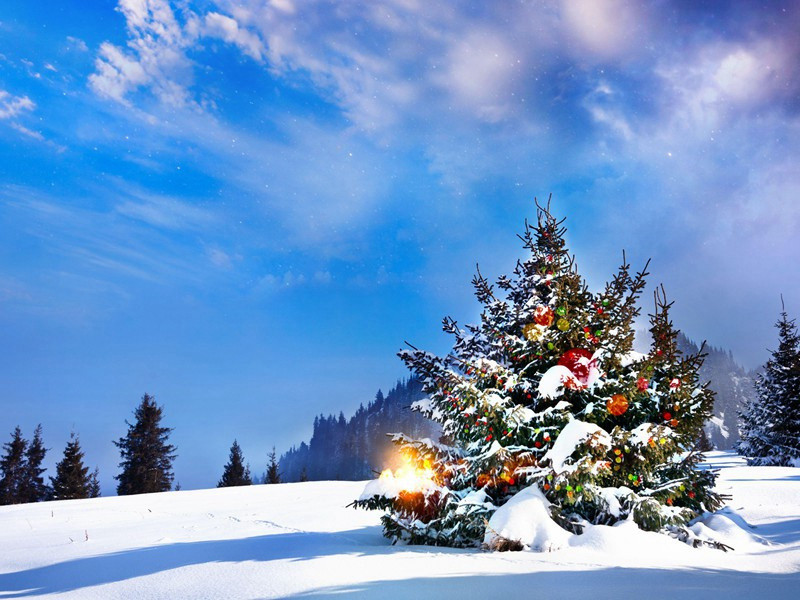 闲步过芳菲园原文注释译文赏析-陈尧佐诗词-宋诗全集