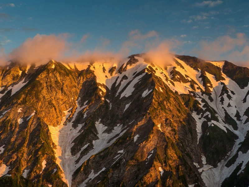 浔阳白牡丹·其二原文注释译文赏析-陈谠诗词-宋诗全集