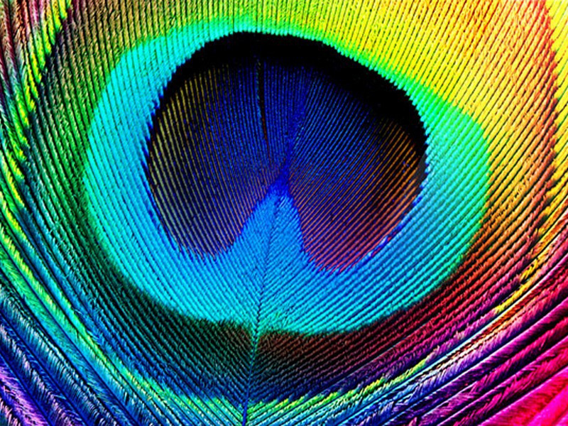 赠吕居仁原文注释译文赏析-曾续诗词-宋诗全集