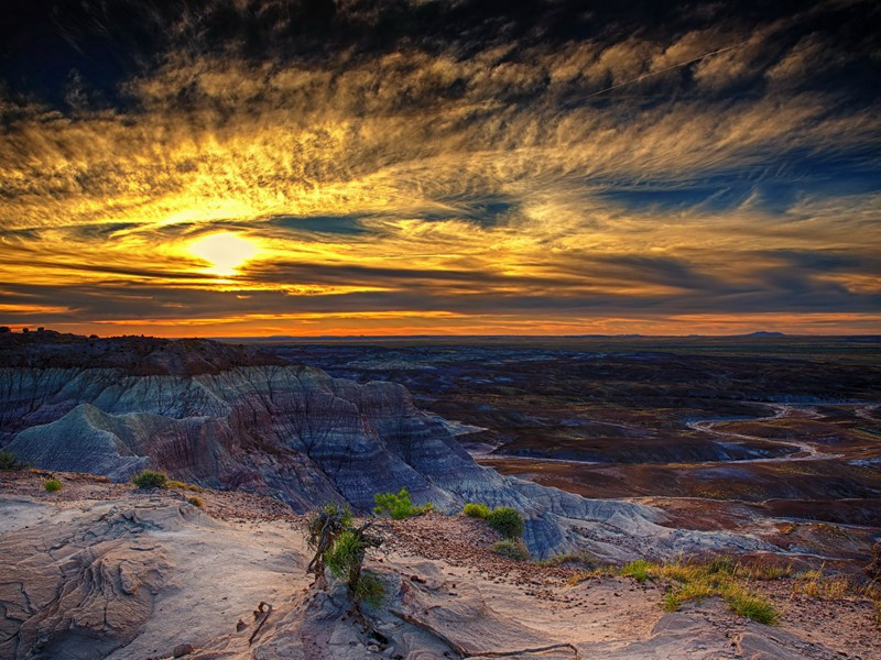 莲原文注释译文赏析-杜衍诗词-宋诗全集