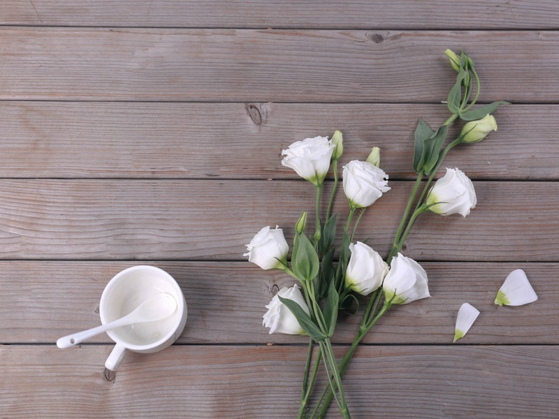 送旴江吴守以言归二首·其二原文注释译文赏析-包恢诗词-宋诗全集