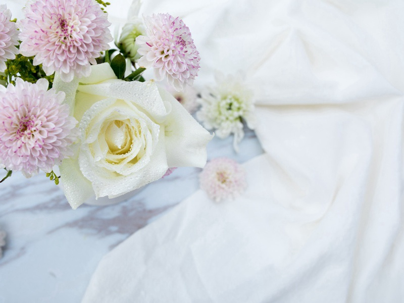 横桥观荠原文注释译文赏析-陈着诗词-宋诗全集