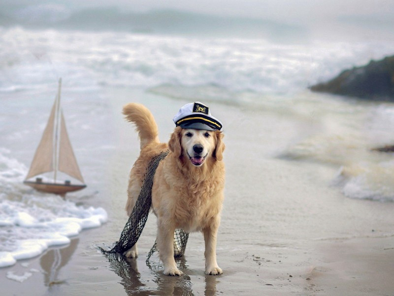 和张端士初夏原文注释译文赏析-陈傅良诗词-宋诗全集