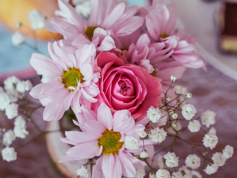 简江子之求茶原文注释译文赏析-晁冲之诗词-宋诗全集