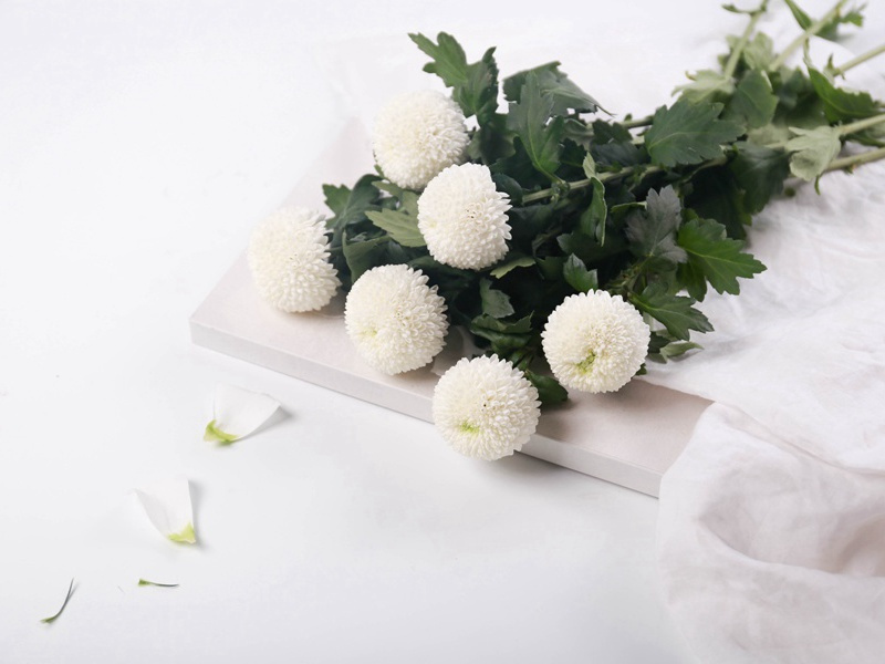 句·其三原文注释译文赏析-晁咏之诗词-宋诗全集