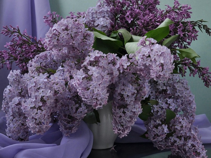 招隠二首·其一原文注释译文赏析-陈傅良诗词-宋诗全集