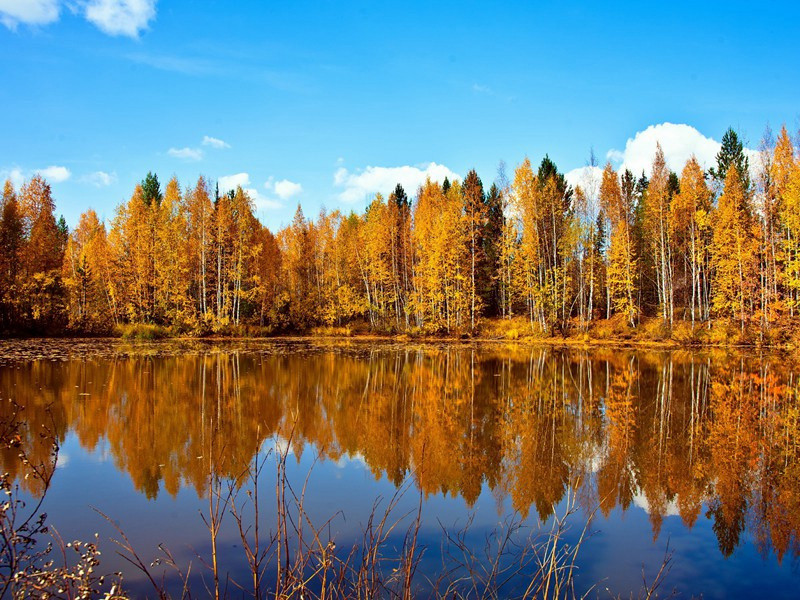 酬袁守方秋崖遗宝带桥诗以顾我老非题柱客知君材是济川功为韵十四首·其三原文注释译文赏析-包恢诗词-宋诗全集