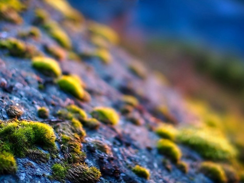 夜赋寄友原文注释译文赏析-陈与义诗词-宋诗全集