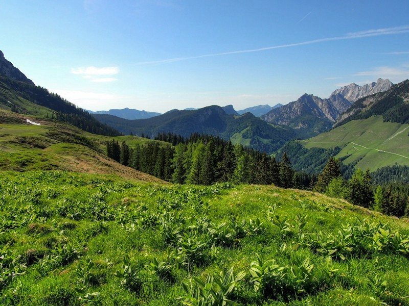 秋风原文注释译文赏析-程洵诗词-宋诗全集