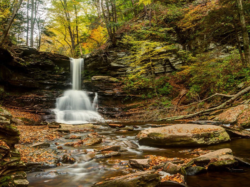 仲夏细雨原文注释译文赏析-曾几诗词-宋诗全集
