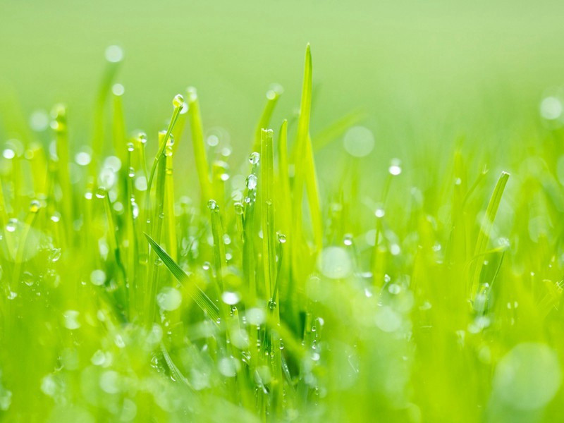 与文潜无咎对榻夜话达旦原文注释译文赏析-邓忠臣诗词-宋诗全集