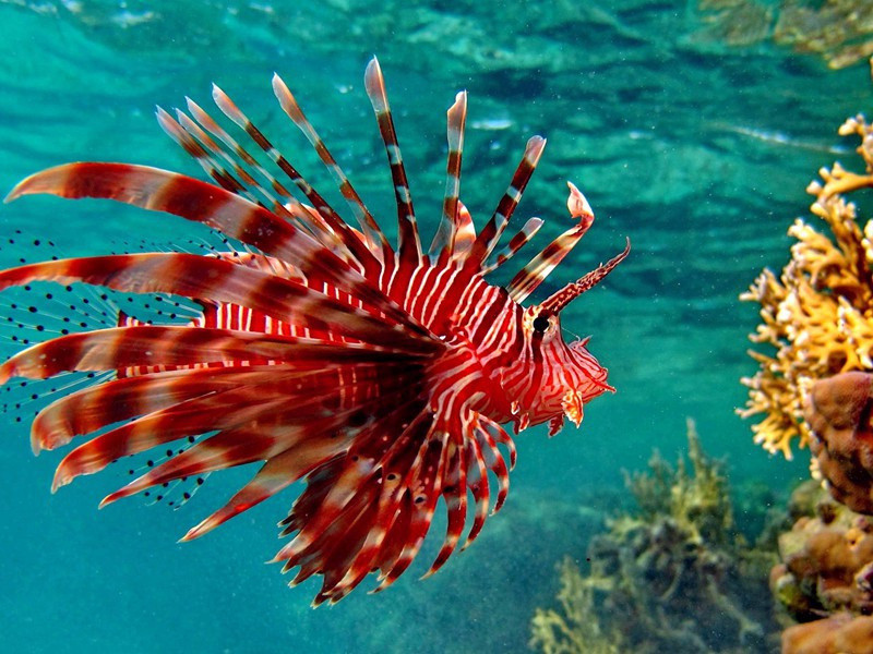 上广东运副马少卿寿十口号·其七原文注释译文赏析-曾丰诗词-宋诗全集