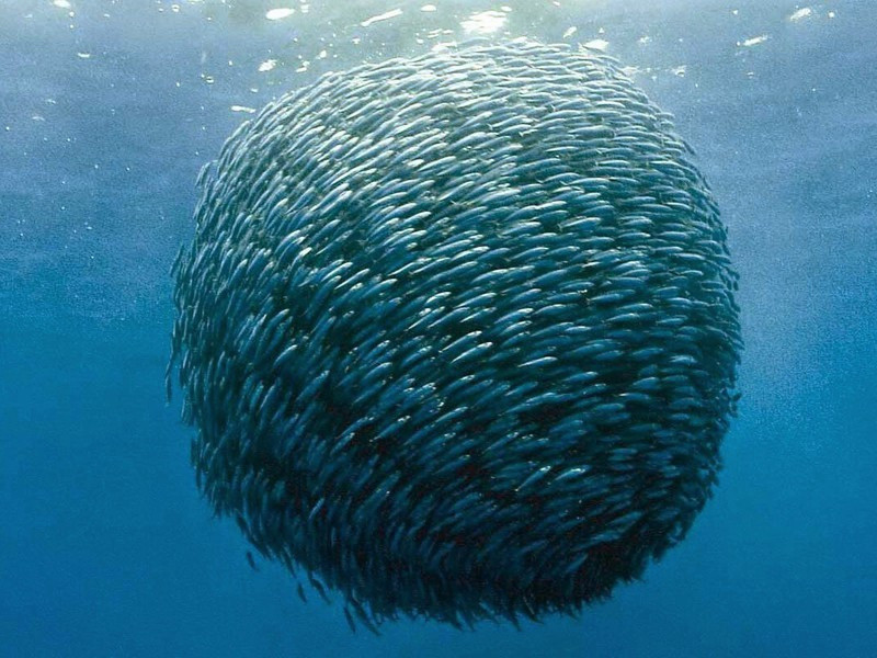 送何水部蒙出牧袁州原文注释译文赏析-晁逈诗词-宋诗全集