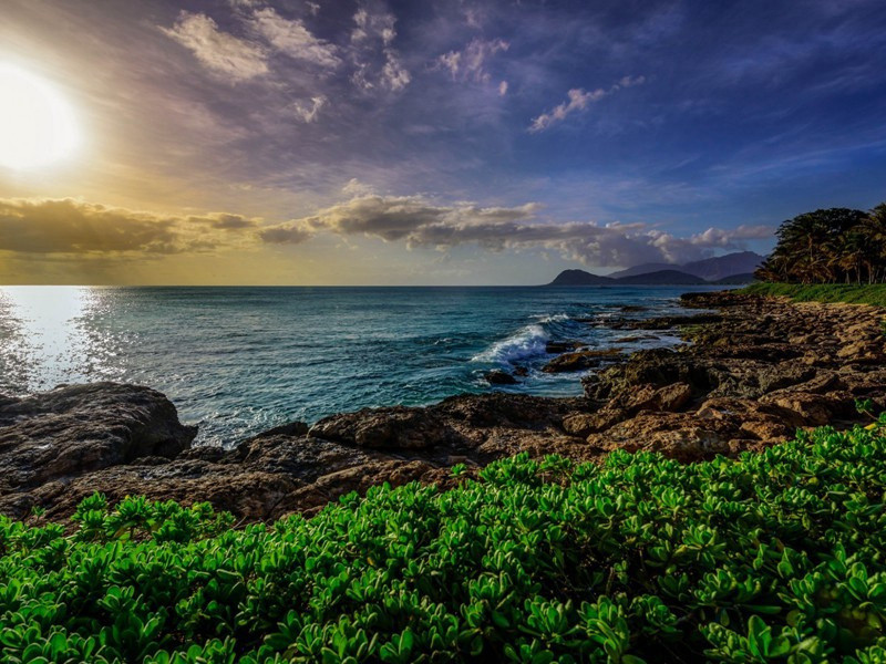 四时田园杂兴六十首·夏日田园杂兴十二绝·其一二原文注释译文赏析-范成大诗词-宋诗全集