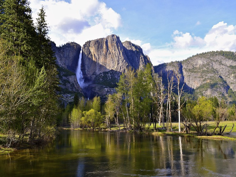 正月十五日与兄弟清坐灯下不饮取黄精荔子甘实食之童稚绕膝嬉笑喧杂亦足慰岑寂戏作三绝句纪之·其二原文注释译文赏析-李弥逊诗词-宋诗全集