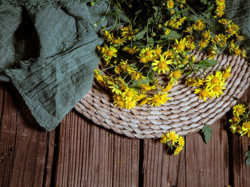 咏史·文帝·其一原文注释译文赏析-陈普诗词-宋诗全集