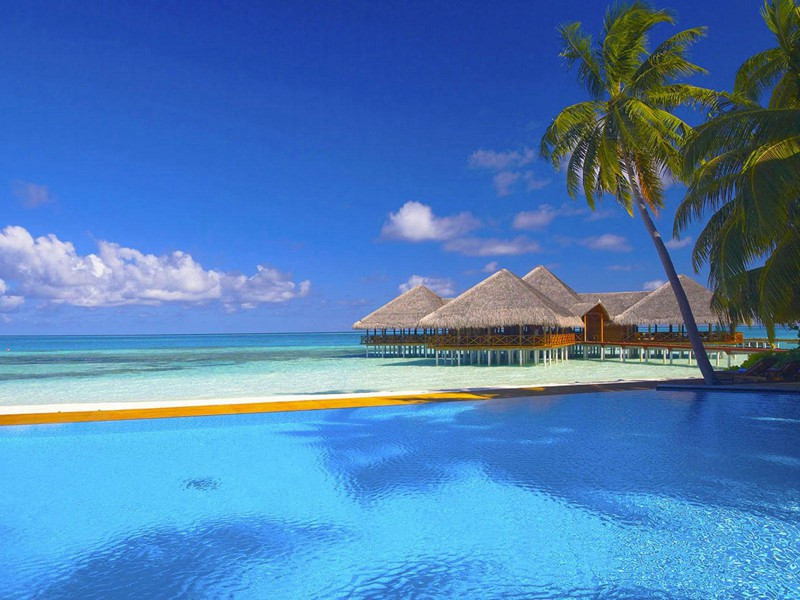 赠幽谷老人原文注释译文赏析-蔡向诗词-宋诗全集