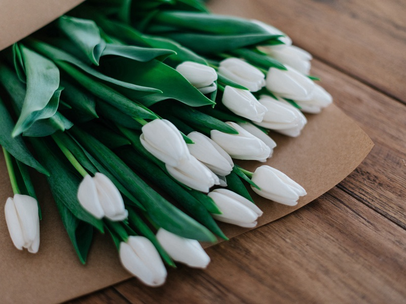 和范教授同游桓山原文注释译文赏析-陈师道诗词-宋诗全集