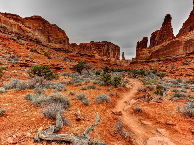 赠别原文注释译文赏析-程洵诗词-宋诗全集