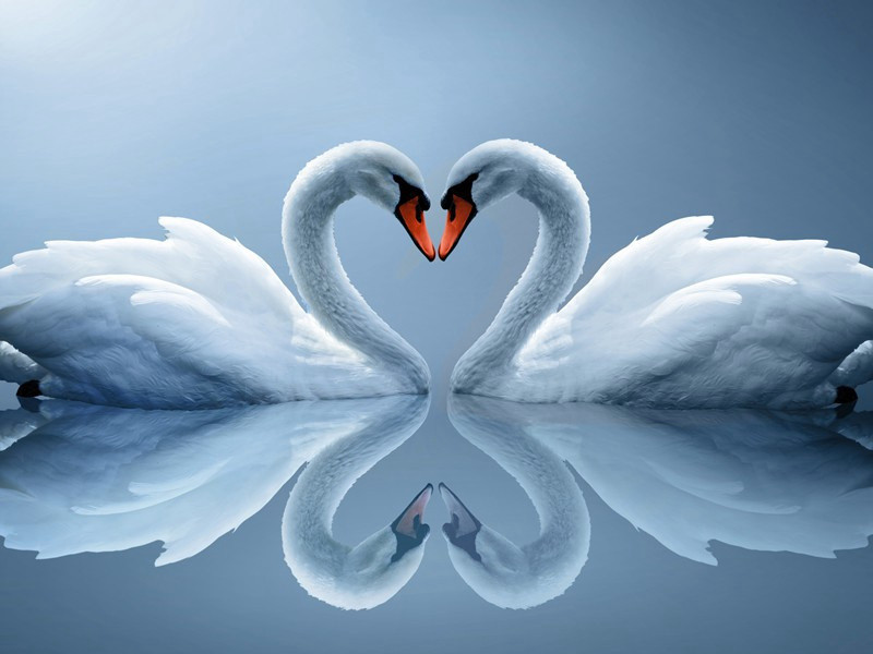 读陶集爱其致意於菊者八因作八首·三曰菊为制颓龄原文注释译文赏析-方回诗词-宋诗全集