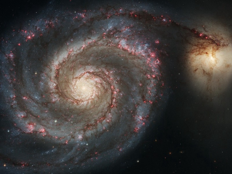 似雪窦西麓庵僧昂蒙纯原文注释译文赏析-陈着诗词-宋诗全集