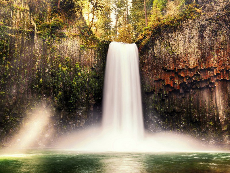亭上茅寄生原文注释译文赏析-陈宓诗词-宋诗全集