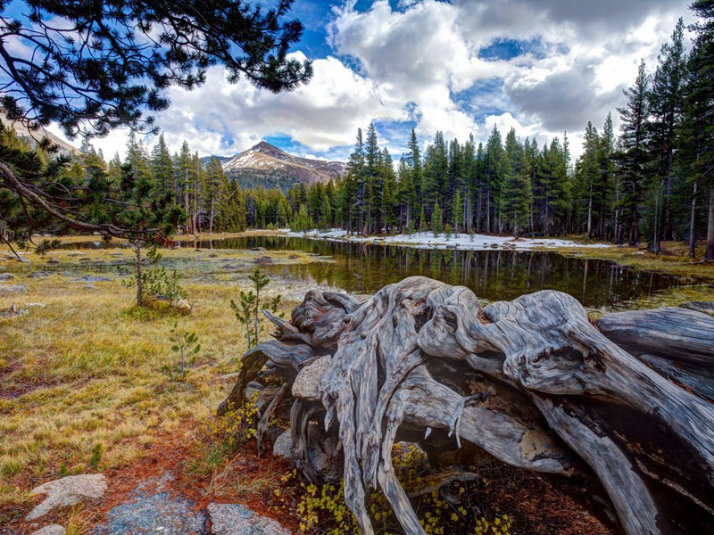 次韵王知军雪原文注释译文赏析-陈造诗词-宋诗全集